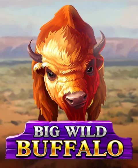 Play Big Wild Buffalo at Pledoo Casino